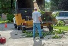 Greenwithtree-cutting-services-13.jpg; ?>