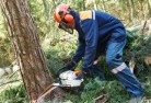Greenwithtree-cutting-services-21.jpg; ?>
